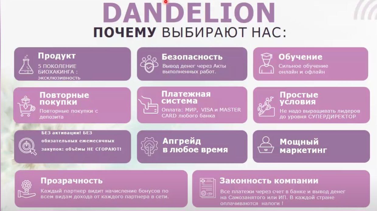 данделион маркетинг план dandelion партнерская программа компенсационный план